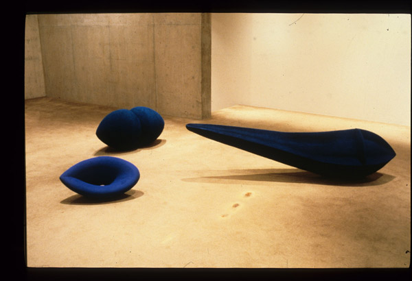 Anish Kapoor